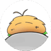 カードショップきらあ